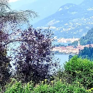 https://matis-house.it-lombardy.com